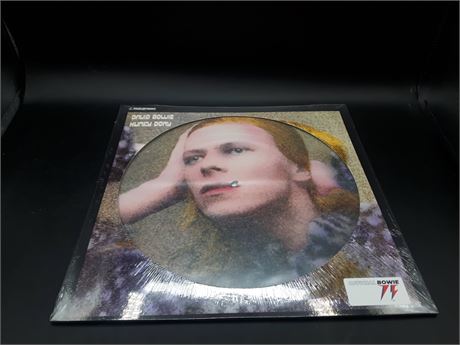 SEALED - DAVID BOWIE - LIMITED EDITION PICTURE VINYL