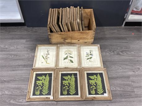 22 NEW FLOWER / FERN WALL DECOR PRINTS IN VINTAGE CRATE