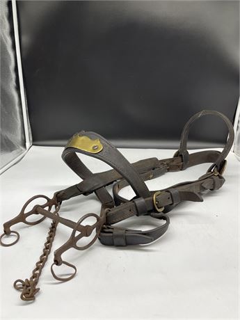 VINTAGE HORSE HARNESS W/BRASS ACCENT