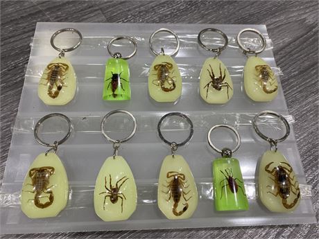 10 GLOW IN THE DARK REAL INSECT KEYCHAINS