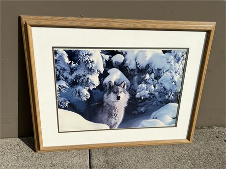 FRAMED WOLF PICTURE (35”x27”)