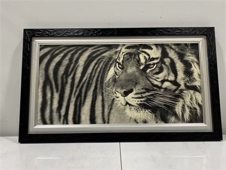 FRAMED TIGER PRINT (42.5”x25”)