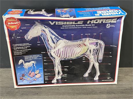 SKILLCRAFT VISIBLE HORSE MODEL KIT