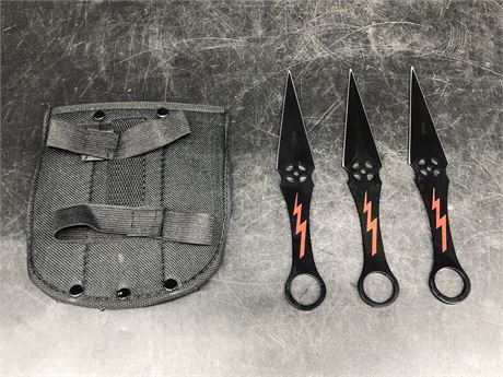 3 THROWING KNIVES WITH CASE