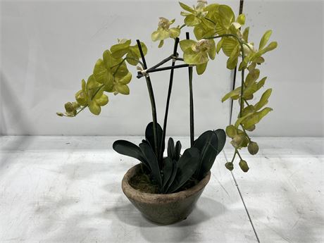 ARTIFICIAL ASIAN PLANT (21” tall)