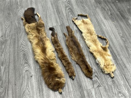 4 SMALL ANIMAL PELTS - LARGEST IS 44” LONG