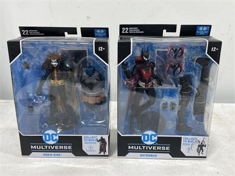 2 DC MULTIVERSE FIGURES IN BOX (10” tall)