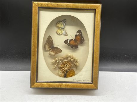 VINTAGE BUTTERFLY SHADOWBOX DISPLAY 8”x10”