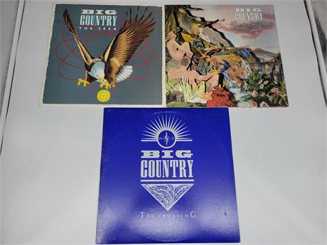 3 BIG COUNTRY RECORDS (good condition)