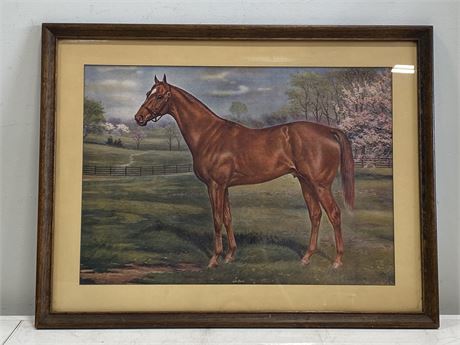 EARLY FRAMED PICTURE OF MAN O WAR RACE HORSE (28”X21.5”)