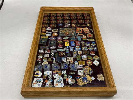 COLLECTION OF PINS IN SHADOW BOX