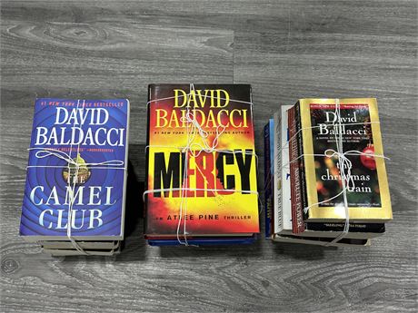 LARGE LOT OF DAVID BALDACCI BOOKS - 2 FULL SERIES & 6 STAND ALONE BOOKS
