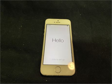 IPHONE 5S (Working)