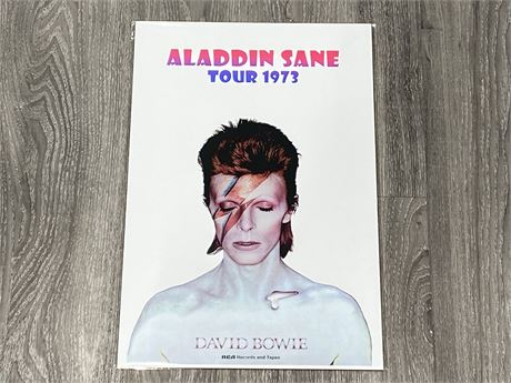 DAVID BOWIE ALADDIN SANE TOUR 1973 POSTER (12”X18”)