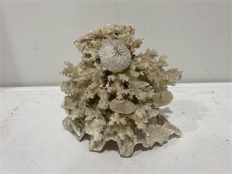 LARGE PIECE OF DECORATIVE CORAL (6.5” tall)