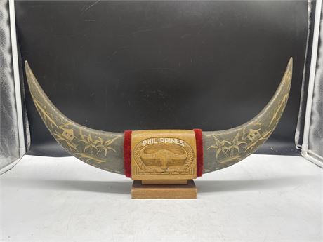 PHILIPPINES HORN DISPLAY 22”x10”