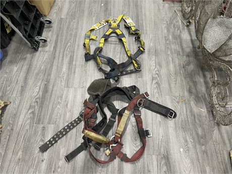 LOT OF 2 SAFETY HARNESSES