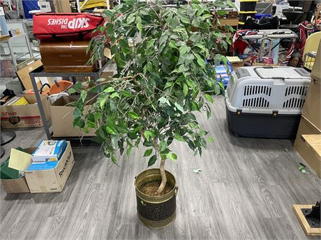 ARTIFICIAL FIG TREE 56”