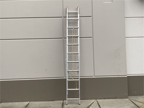 EAGLE CADDERS 20FT EXTENSION LADDER WITH ROOF ATTACHMENTS