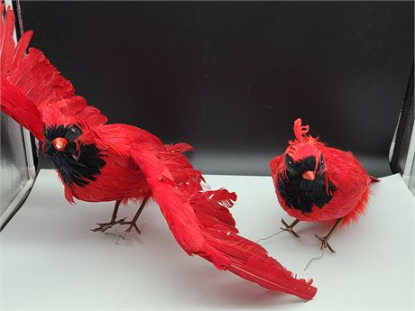 X LARGE REAL FEATHER RED CARDINAL BIRDS (32"x17")