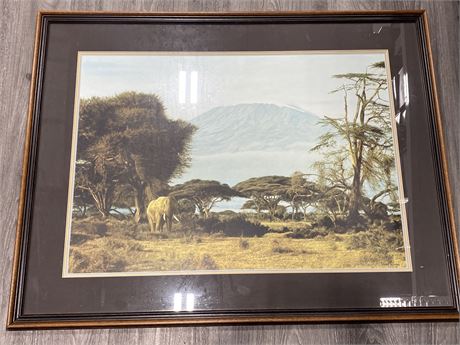 LARGE SUSAN COMBES SIGNED/NUMBERED AFRICAN ELEPHANT FRAMED PRINT WITH COA