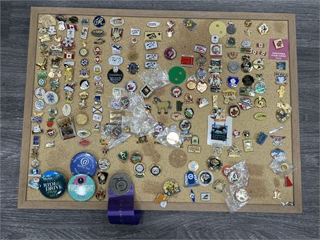 COLLECTION OF PINS (23”x17”)