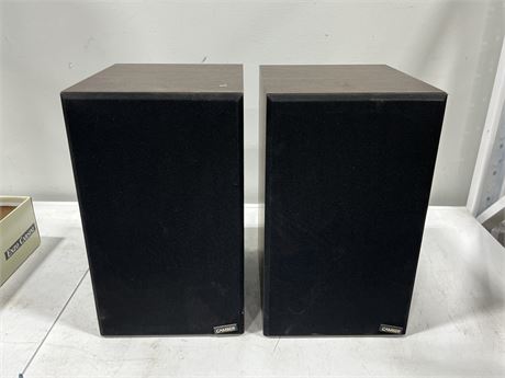 CAMBER 1.5 SPEAKERS MADE IN CANADA - WORKS (16” tall)