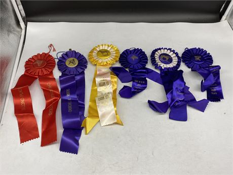 6 VINTAGE HORSE SHOW RIBBONS
