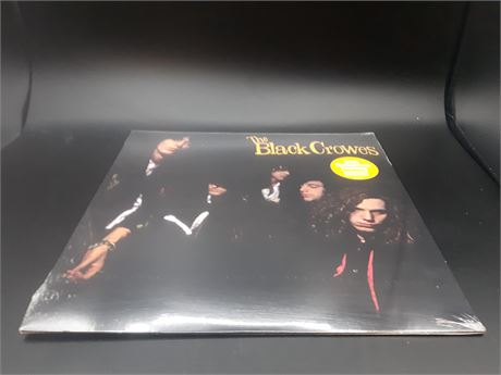 NEW - BLACK CROWES - SHAKE YOUR MONEY MAKER