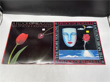 2 MISC FLOCK OF SEAGULLS RECORDS - EXCELLENT (E)