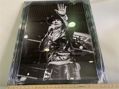 GORD DOWNIE FRAMED PICTURE