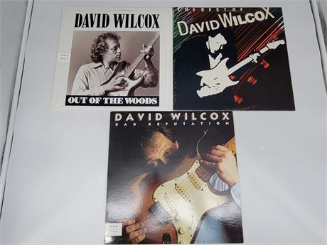 3 DAVID WILCOX RECORDS (good condition)