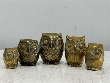 5 SMALL MCM BRASS OWLS (3” TALLEST)