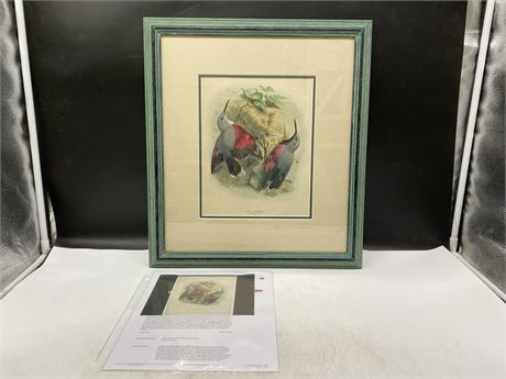 ANTIQUE LITHOGRAPH PICTURE - WALL-CREEPER - 16’ X 18’