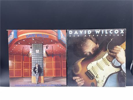 2 DAVID WILCOX RECORDS - EXCELLENT (E)
