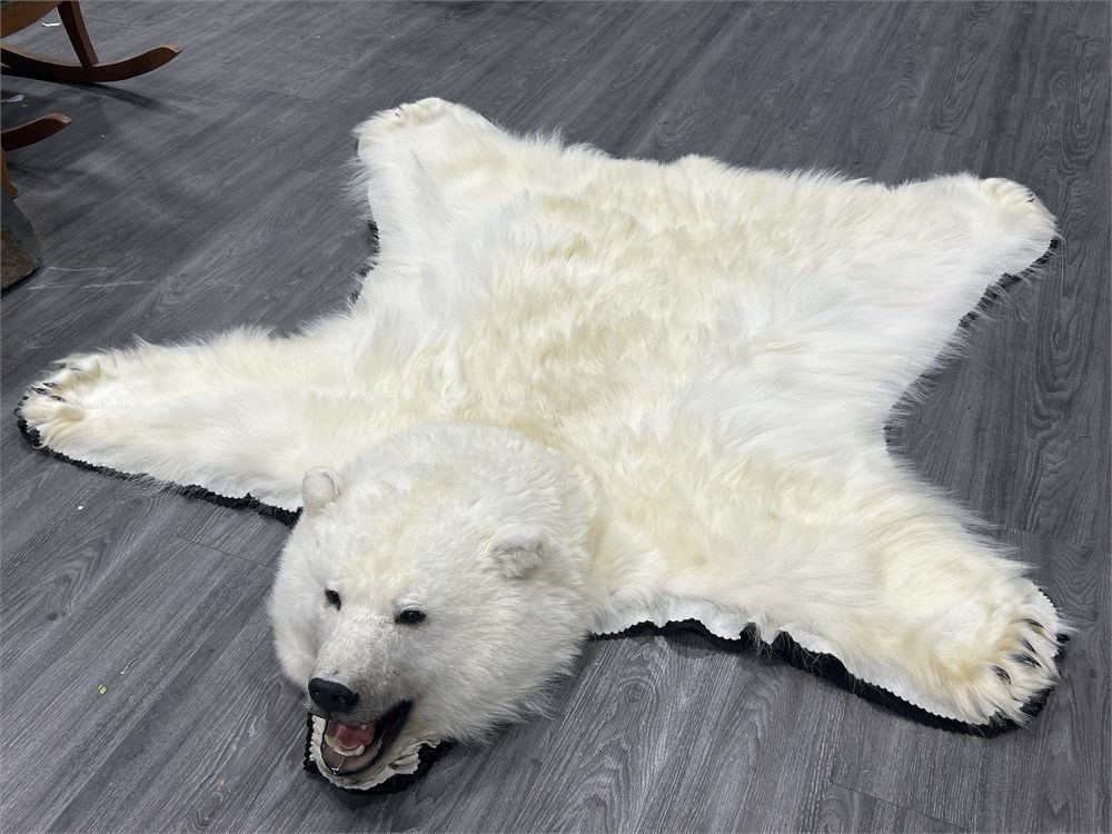 Urban Auctions - TAXIDERMY POLAR BEAR RUG W/ PAPERS - EXTREMELY CLEAN ...