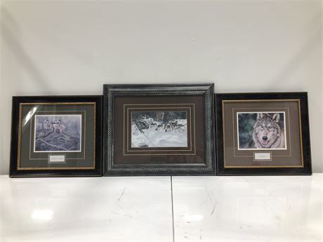 3 WOLF THEMED FRAMED PICTURES 21X18” 20X16”