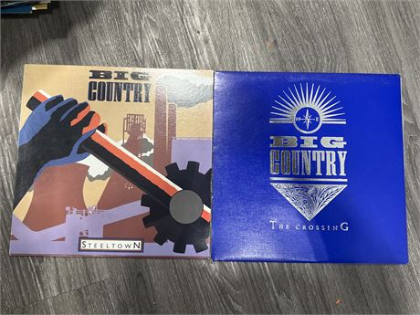 2 BIG COUNTRY RECORDS - NEAR MINT (NM)