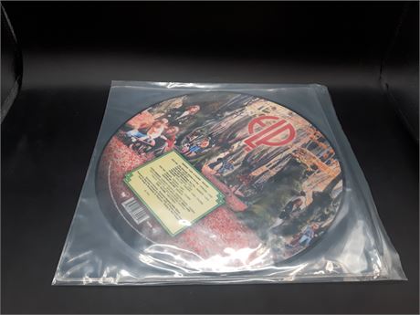 EMERSON LAKE PALMER - LMITED EDITION PICTURE DISC - MINT CONDITION - VINYL