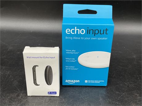 (NEW) ECHO INPUT —INTEGRATES TO YOUR EXISTING STEREO W/MOUNT