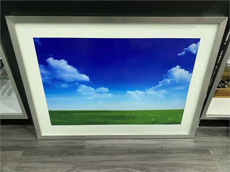 FRAMED FIELD PICTURE (43”x32”)