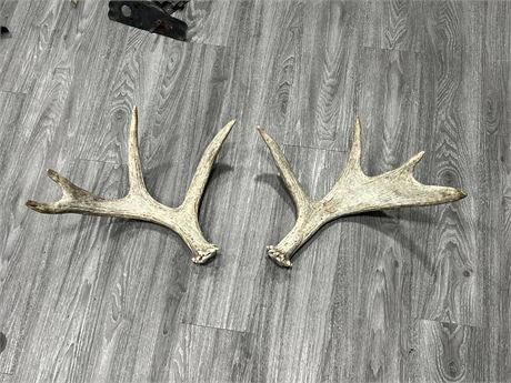 2 ANTLER PIECES (15” tall)