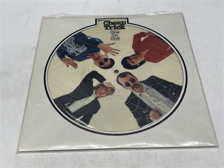 CHEAP TRICK - ONE ON ONE PICTURE DISK - NEAR MINT (NM)
