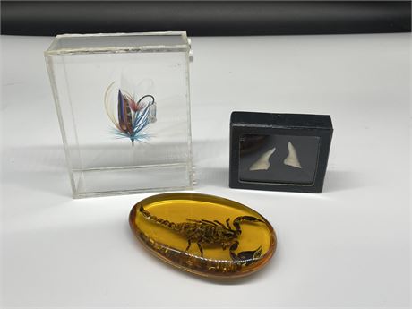 SCORPION IN LUCITE (3.5”) - 2 SHARK TEETH - CASED TIED FLY