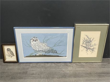 LOT OF 3 OWL PICTURES (LARGEST IS 20”X13”)