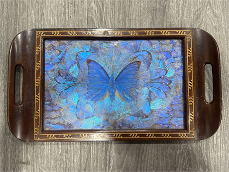 VINTAGE REAL BUTTERFLY WING ART TRAY - MADE IN BRAZIL (16”x9”)
