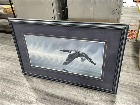 LARGE FRAMED LOON PRINT - 43”x27”