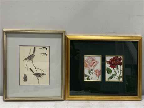 2 MISC. FRAMED PICTURES - VINTAGE BIRD STUDY & DOUBLE REDOUTE ROSES (18”X15”)