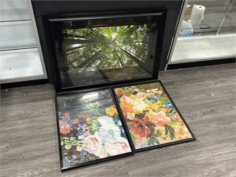3 FRAMED NATURE / FLORAL PICTURES - LARGEST IS 39”x30”