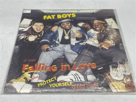 1987 PRESS - FAT BOYS - FALLING IN LOVE - EXCELLENT (E)